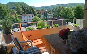 Ferienwohnung-Bergblick